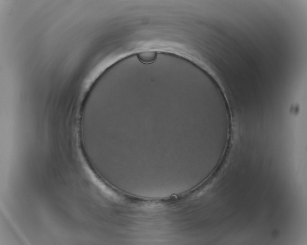 X0000113231525200910011357