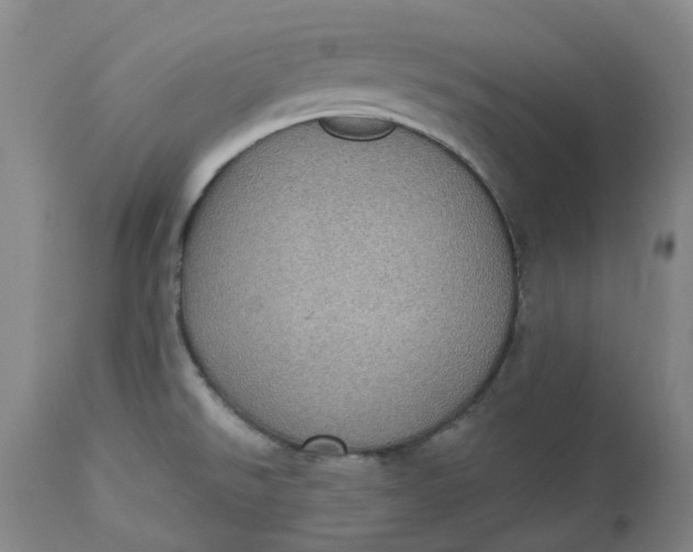 X0000113231526200910011357