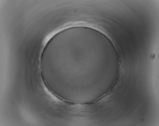 X0000113231527200910011357