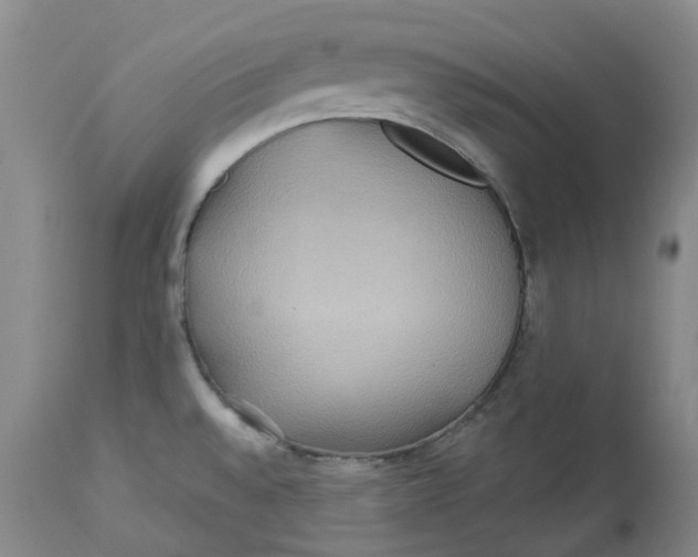 X0000113231528200910011357