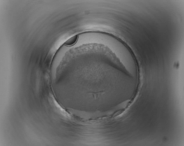 X0000113231529200910011357