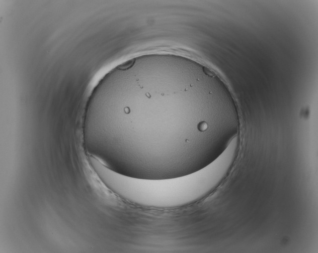 X0000113231530200910011357