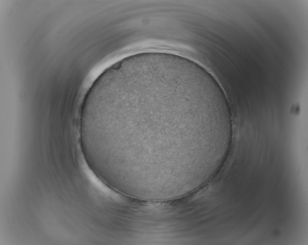 X0000113231531200910011357