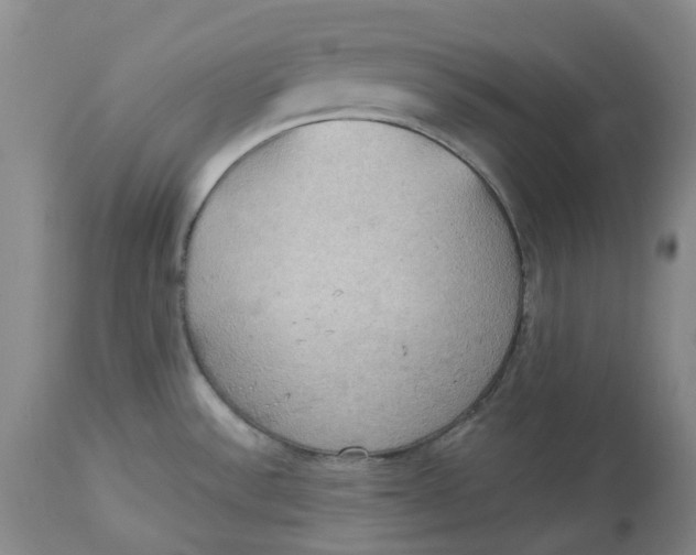 X0000113231532200910011357