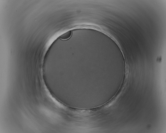 X0000113231533200910011357