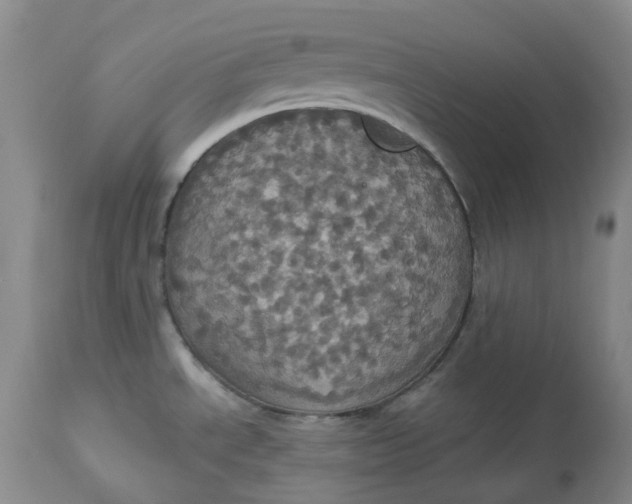 X0000113231534200910011357