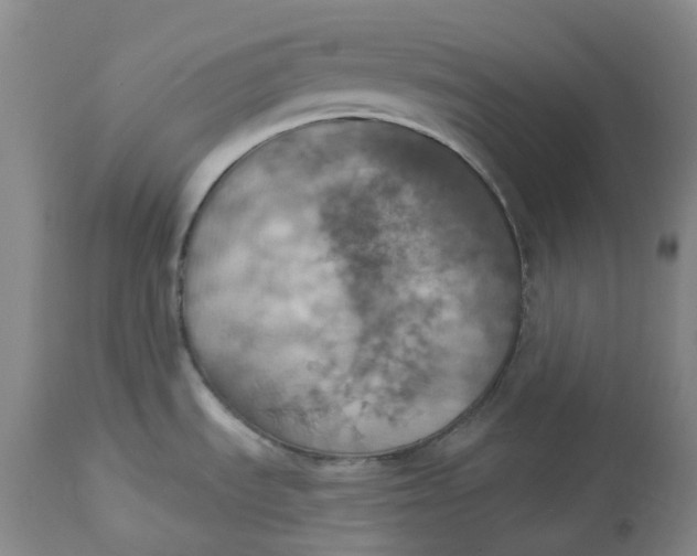 X0000113231535200910011357