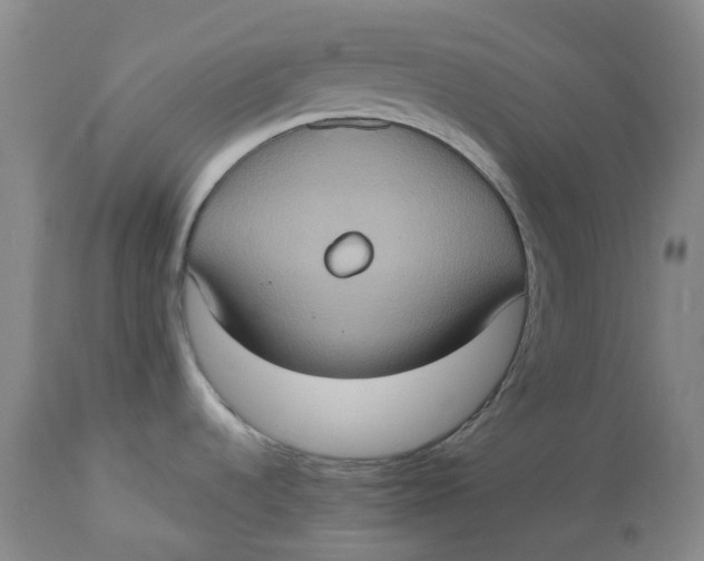 X0000113231536200910011357