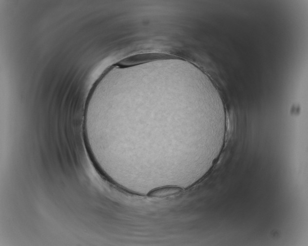 X0000113230003200910081417