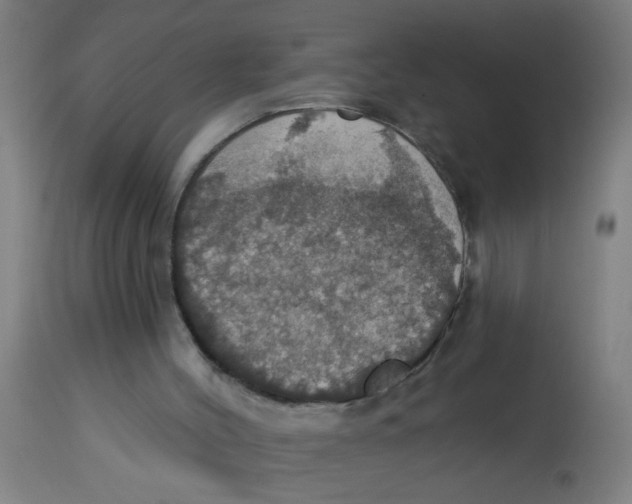 X0000113230004200910081417