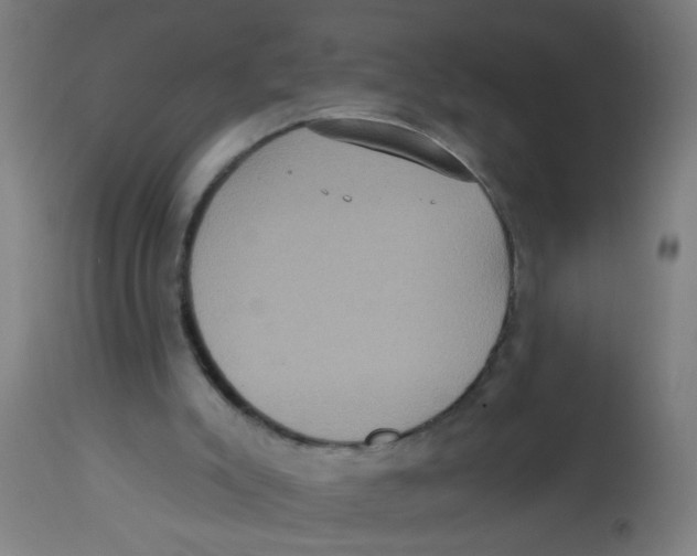 X0000113230007200910081417