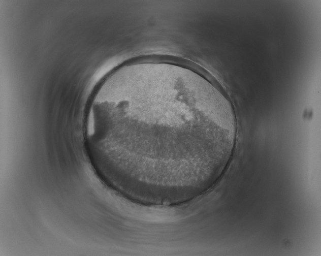 X0000113230008200910081417