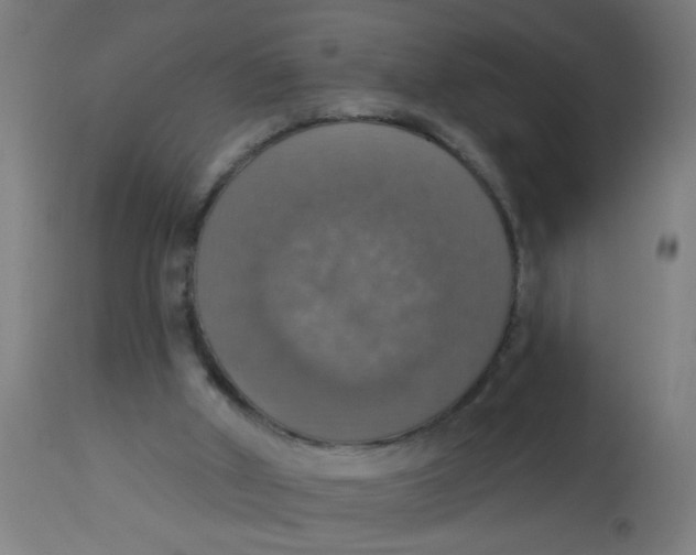 X0000113230010200910081417