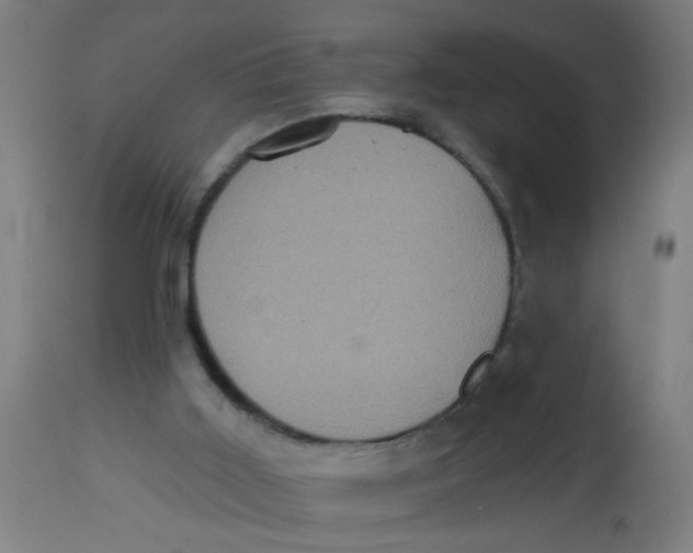 X0000113230011200910081417