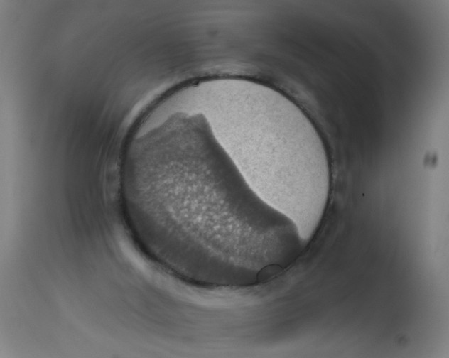 X0000113230012200910081417