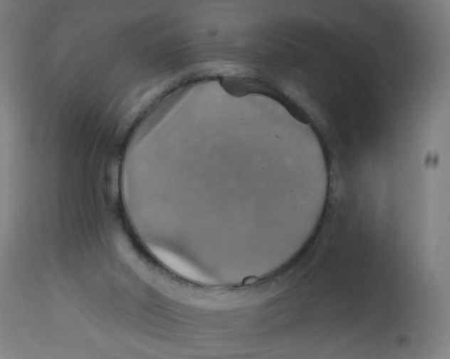 X0000113230014200910081417