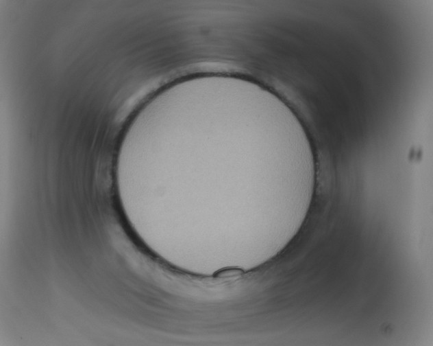 X0000113230015200910081417