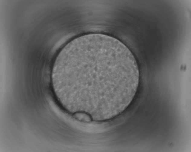 X0000113230016200910081417