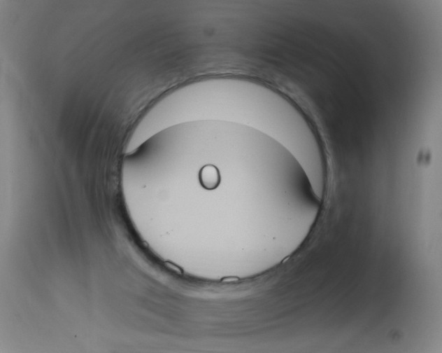 X0000113230017200910081417