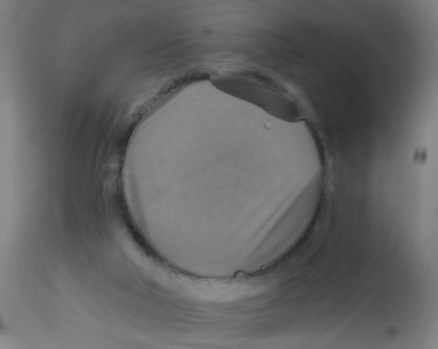 X0000113230018200910081417