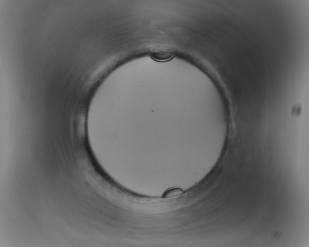 X0000113230019200910081417