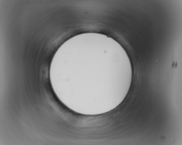 X0000113230021200910081417