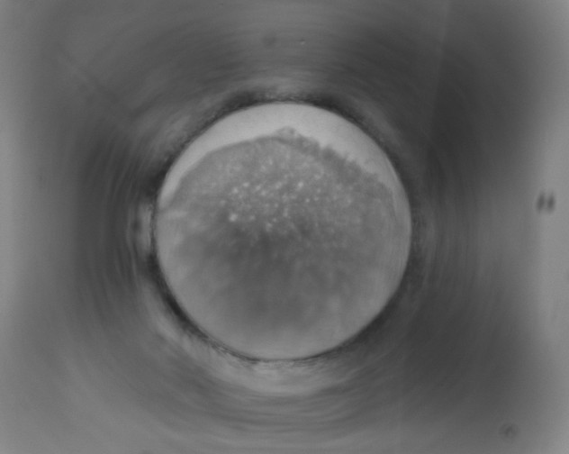 X0000113230022200910081417