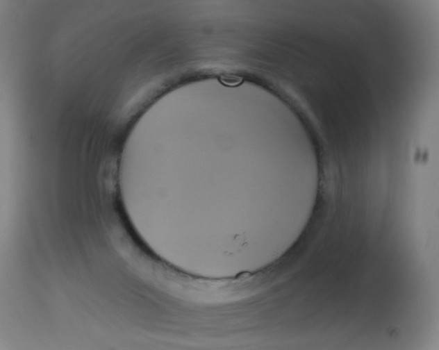 X0000113230023200910081417