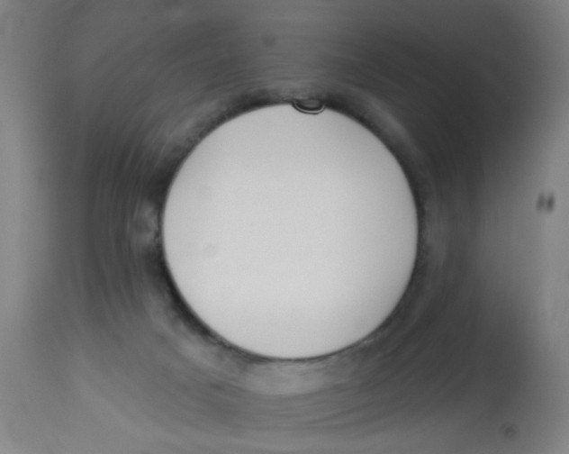 X0000113230025200910081417