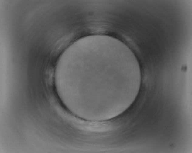 X0000113230026200910081417