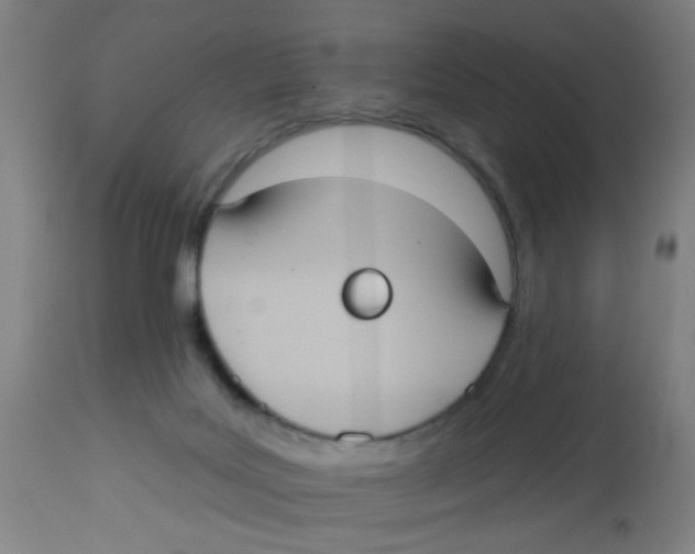 X0000113230027200910081417