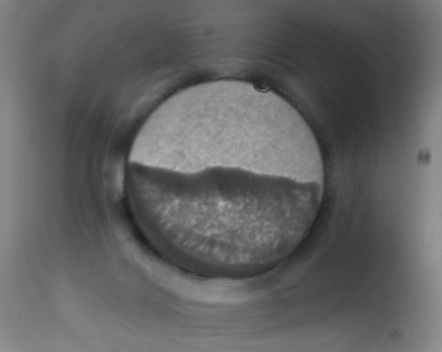 X0000113230028200910081417