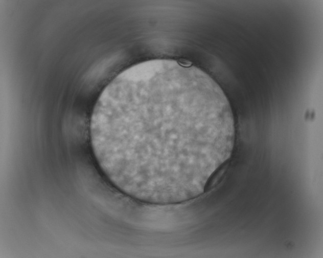 X0000113230029200910081417