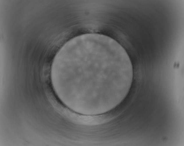 X0000113230030200910081417