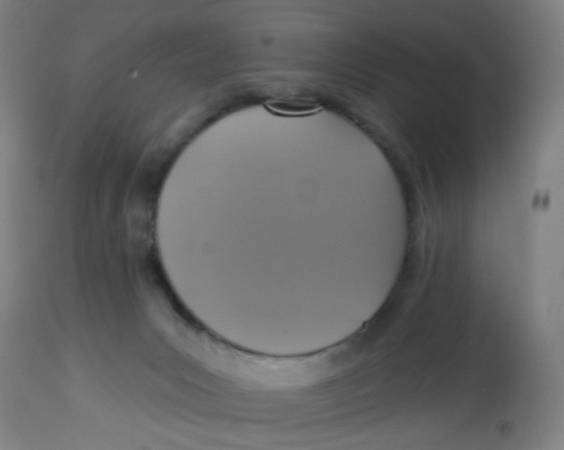 X0000113230031200910081417