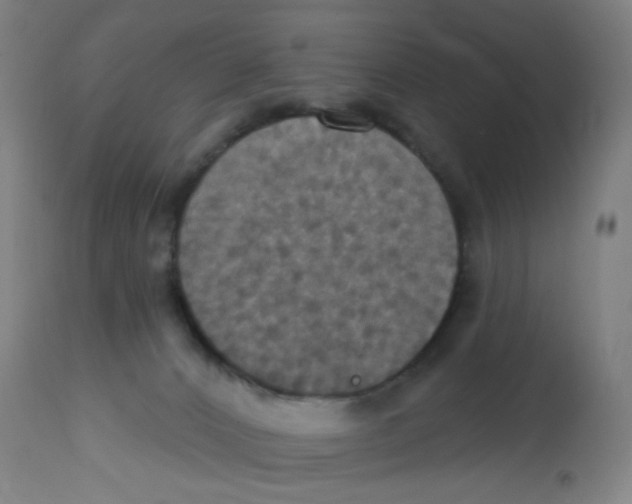 X0000113230032200910081417