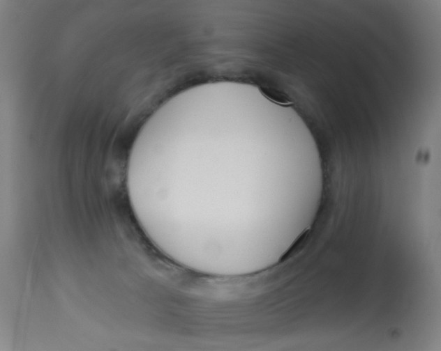 X0000113230033200910081417