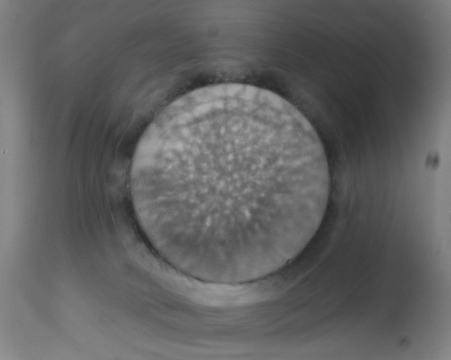 X0000113230034200910081417