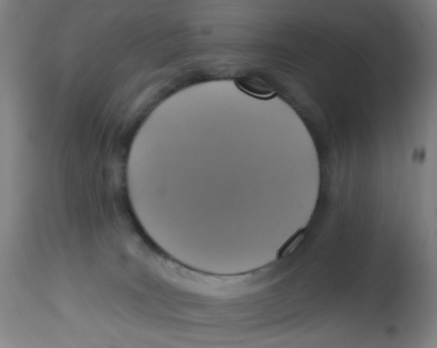 X0000113230035200910081417