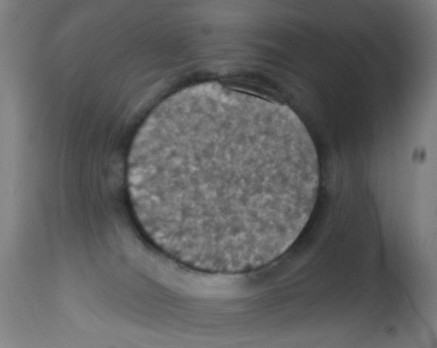 X0000113230036200910081417