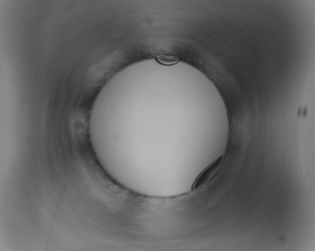 X0000113230037200910081417