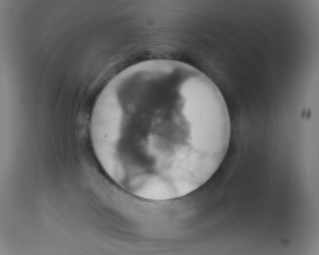 X0000113230038200910081416