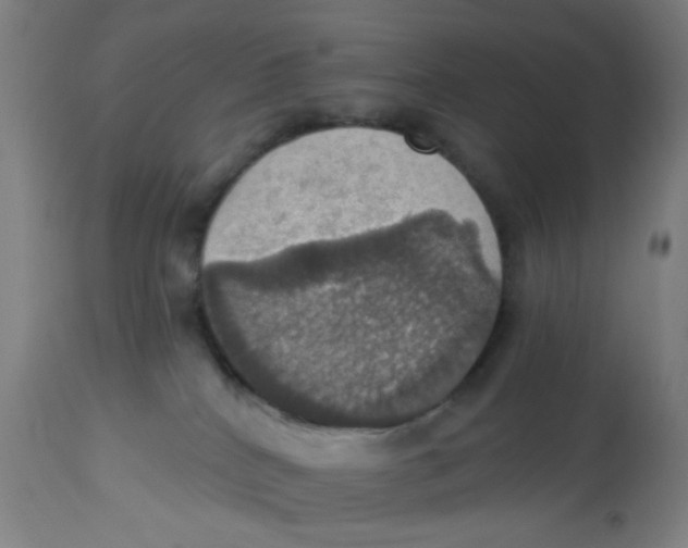 X0000113230040200910081416