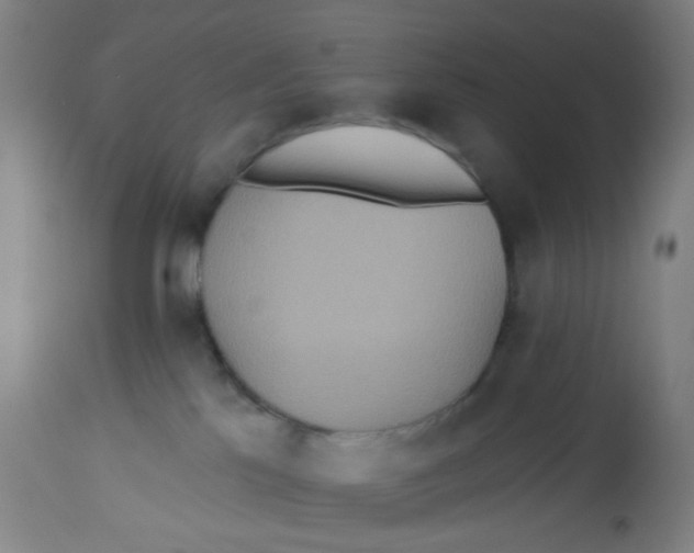 X0000113230041200910081416