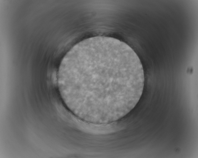 X0000113230042200910081416