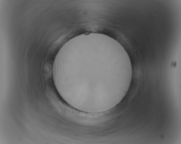 X0000113230043200910081416