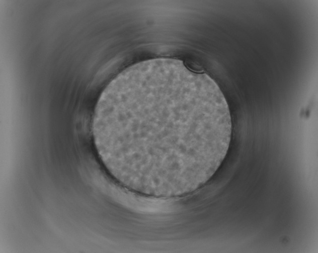 X0000113230044200910081416