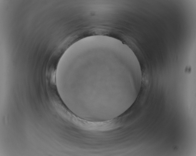 X0000113230046200910081416