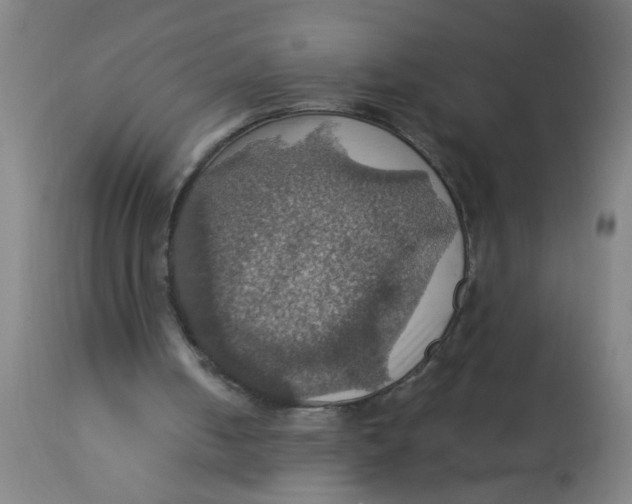 X0000113230050200910081415