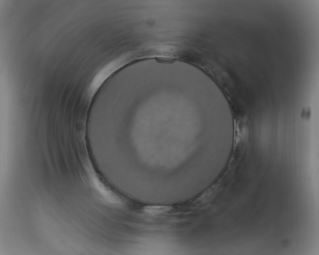 X0000113230051200910081415